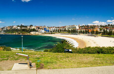 Woman in her 30s critically injured after shark attack at Australia's Coogee Beach