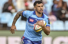 Papier wins first cap in 8 years as Springboks make 10 changes for Scotland