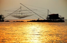 Calls made to reverse over-fishing trends and ban trawling