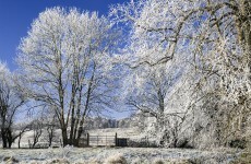 Nearly half of Irish adults worry about elderly relatives during winter - survey
