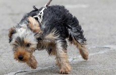 Wind warnings issued for coastal counties