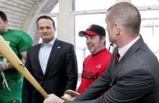 Leo Varadkar has a 20-point plan for 2013