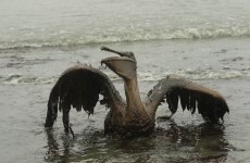 Transocean fined $1.4 billion over Deepwater Horizon