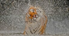 14 incredible images: winners of 2012 National Geographic Photo Contest revealed