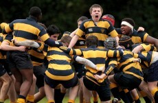 The week in pictures…
