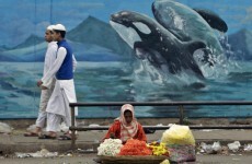 The week in photos