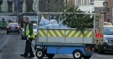 Sad Christmas tree Pic of the Day