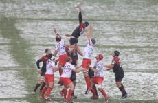 Heineken Cup: Sarries want to host Ulster on plastic pitch