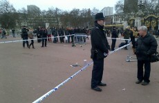 Police taser man outside Buckingham Palace