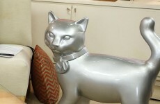 Internet votes for cats in poll on new Monopoly token