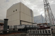 Fukushima survivors to sue Japanese government