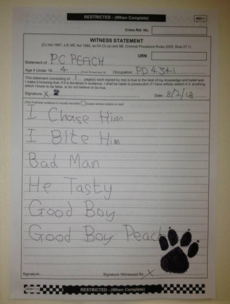 Police in the UK take a statement... from a dog