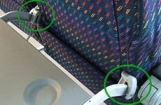 This gadget prevents plane seat in front of you from reclining…
