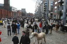 First 'new-look' regulated Smithfield Horse Fair on Sunday