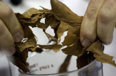 Cooking with tobacco: it’s a thing now apparently