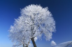 Snow-ice warnings issued for 12 counties