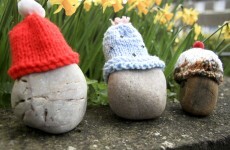 Your own pet Irish rock anyone?
