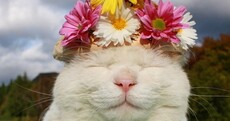 10 reasons why we can't wait for Spring to get a move on
