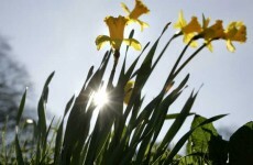 10 tips to best help someone diagnosed with cancer