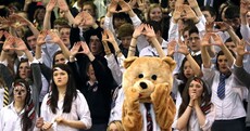 Ballin'! The 9 best images from today's basketball action at Tallaght
