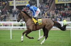 Little Josh dies at Aintree on eve of Grand National