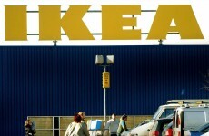 IKEA pulls 18,000 moose lasagnes over mislabelling worries