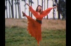 Singer Kate Bush to put CBE 'on top of Christmas tree'