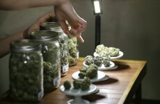 Cannabis-based oral spray approved for use in Ireland