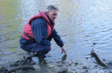 Ancient log boat found on banks of River Boyne