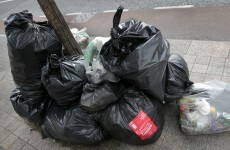 Dublin City Council meets with bin companies on illegal dumping