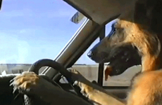 9 things that happen on a Bank Holiday car journey
