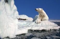 Study: Global warming still happening, but maybe not as quickly as feared