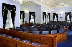 Campaign to save the Seanad launched