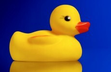 Here's why you can't search for 'yellow duck' on a Chinese website