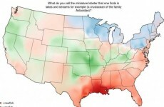 22 maps showing how different Americans pronounce different words
