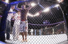 Evans outpoints Henderson at UFC 161