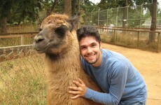 13 pictures of humans hugging animals that will make you feel better