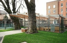 Belt-tightening at Leinster House as Oireachtas 'tuck shop' closes