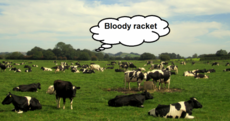 9 people who are delighted that Glastonbury is over
