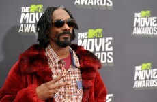 This is what happens when you can ask Snoop Lion whatever you want