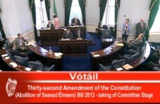 VIDEO: Confusion reigns as senators vote on bill to abolish Seanad