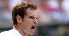 Murray beats Janowicz to set up final showdown with Djokovic