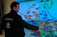 Interpol seize fake goods worth more than €100 million