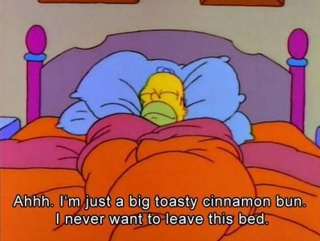 funny-homer-homer-simpsons-lazy-the-simpsons-favim-com-415875