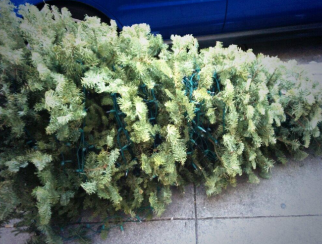 tree2