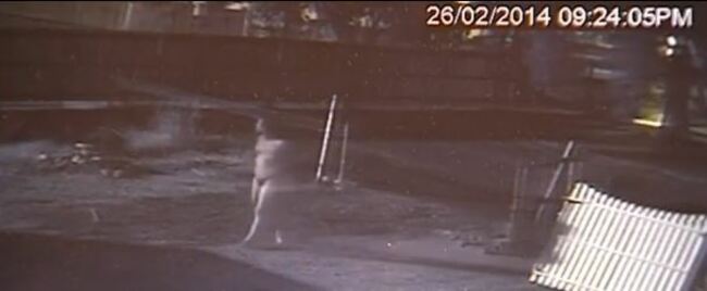 batmanburglar2