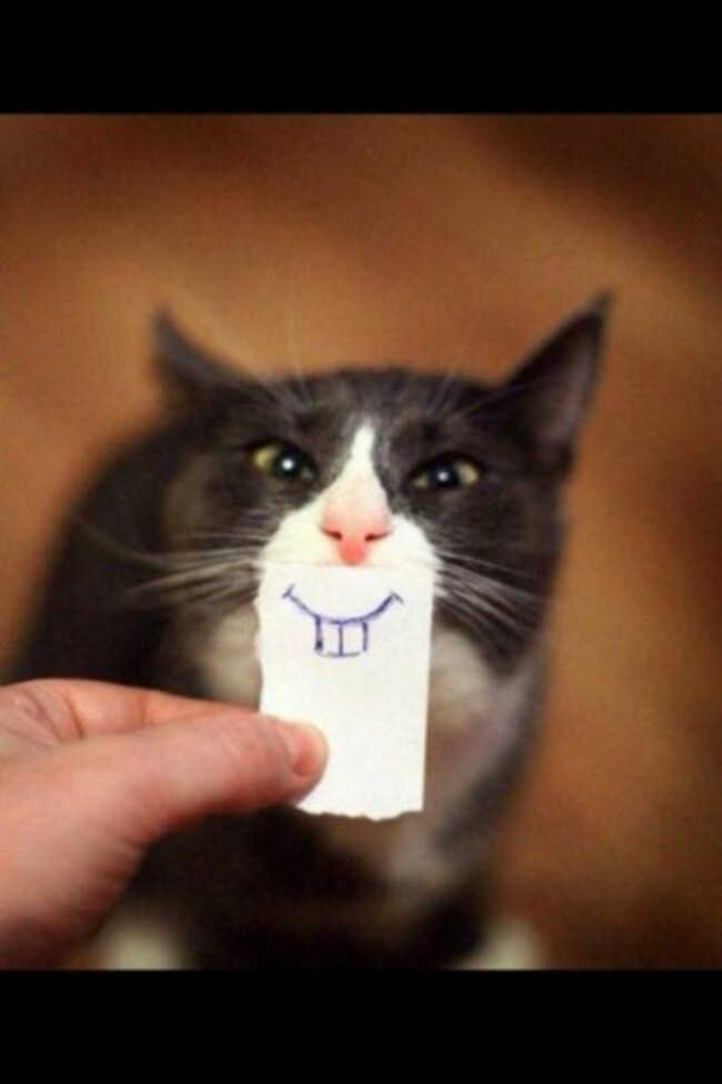 This always makes me happy! - Imgur