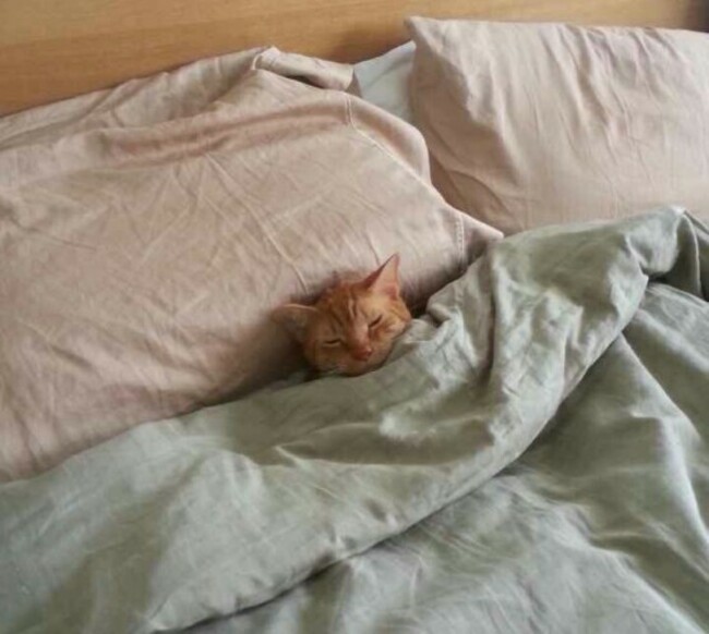 He tucked himself in. - Imgur
