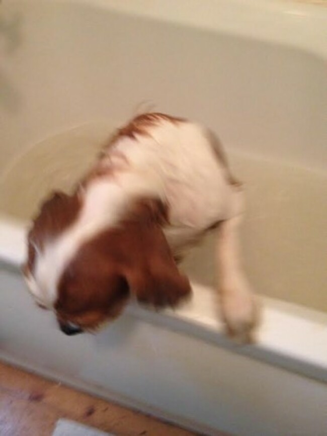 escape