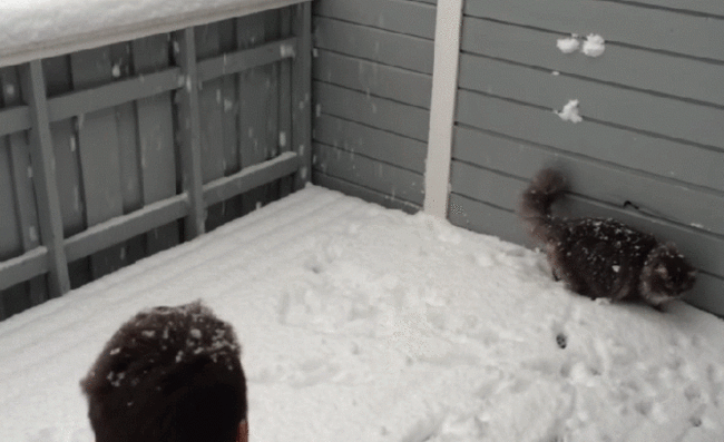 snow